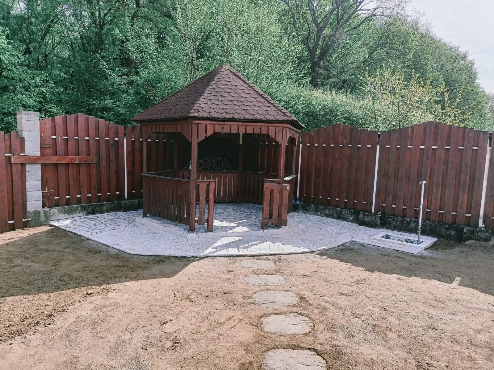 Construcție Profesională